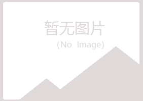 精河县夏日化学有限公司